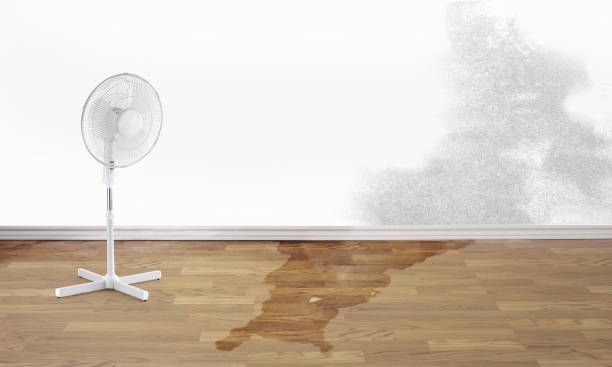 Best Sewage cleanup and water damage restoration  in Clinton, OK