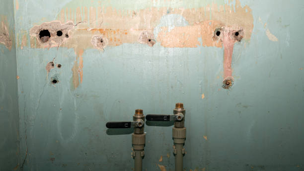 Best Basement water damage restoration  in Clinton, OK